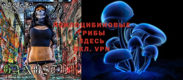 прущие крисы Няндома