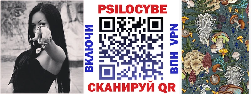 где найти наркотики  Шарыпово  Псилоцибиновые грибы MAGIC MUSHROOMS 